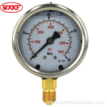 0~40mpa back bottom connection fitting pressure gauges